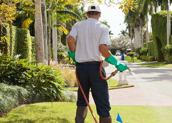 About Seaford NY Pest Control Pros